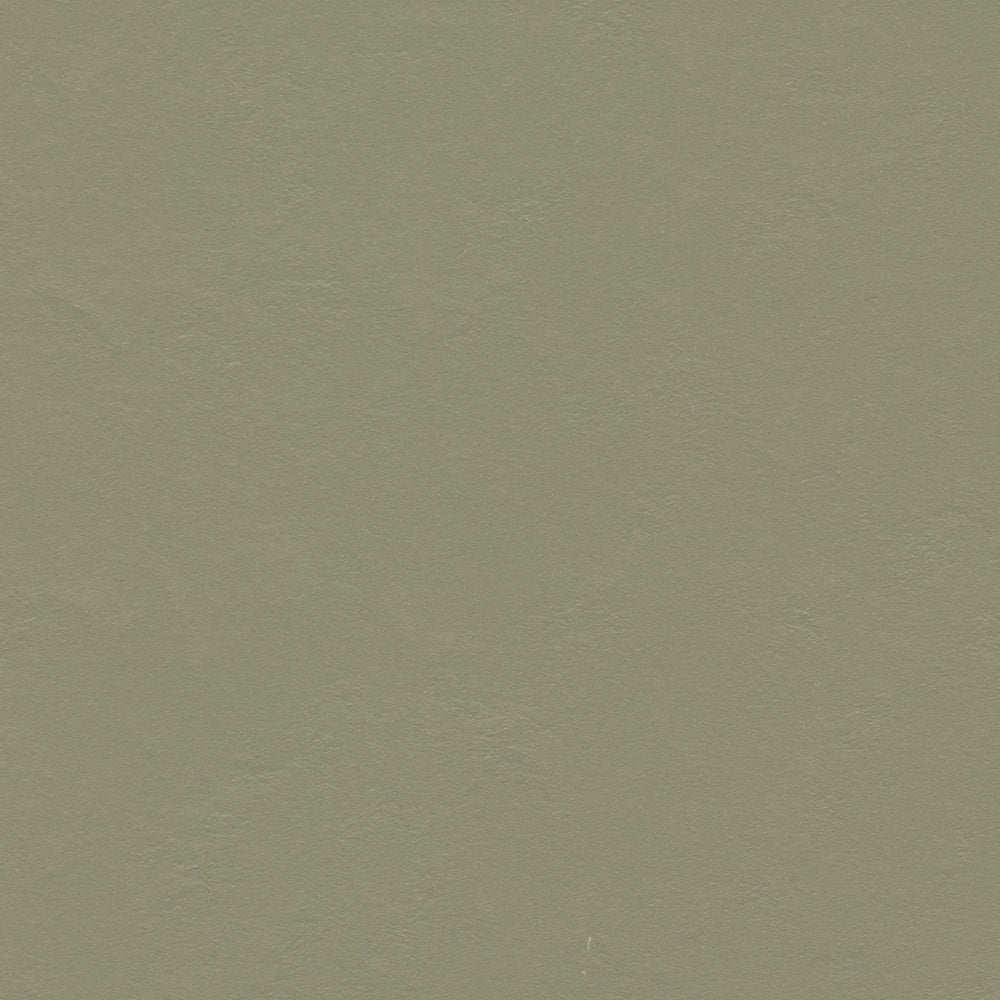 마모륨 솔리드 #3355 | 2000 × 32000 × 2.5mm(1롤:64㎡)